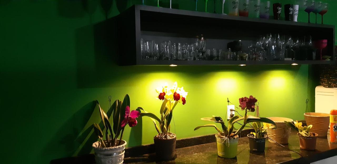 דירות Florianópolis Quinta Do Lapa II מראה חיצוני תמונה